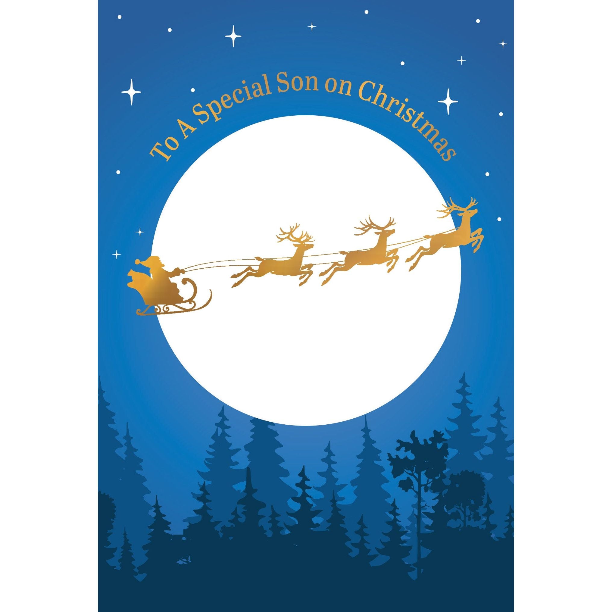 Santa Sleigh Ride Christmas Card Son